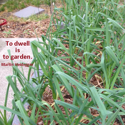 To dwell is to garden. Martin Heidegger To dwell is to garden. Martin Heidegger