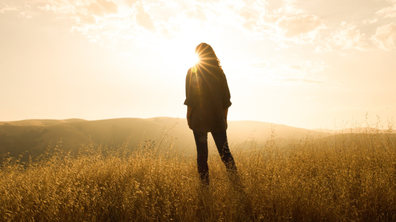woman stands in a fiel staring at the rising sun