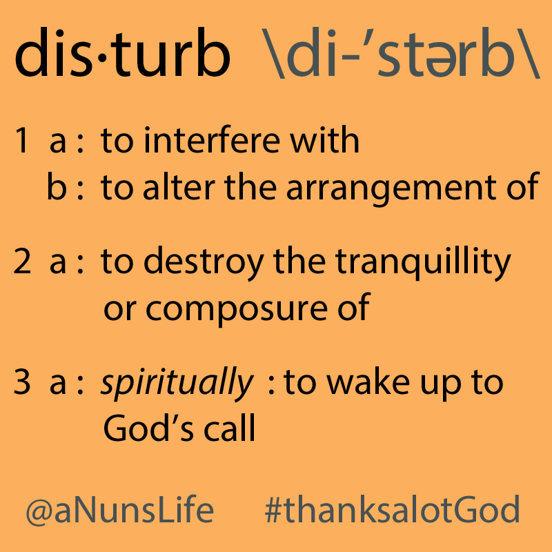 Disturb Definition by A Nun's Life