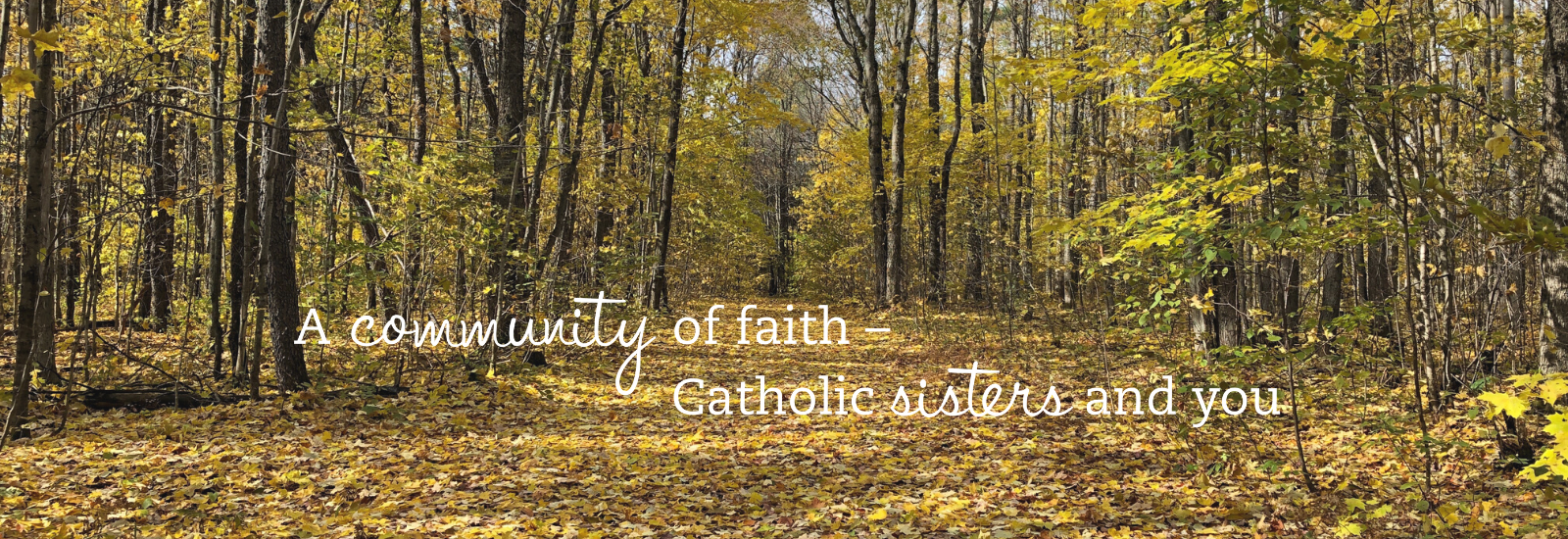 A Nun's Life Ministry