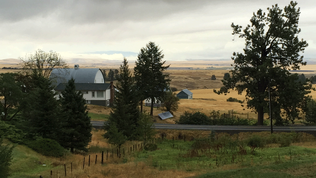 Nothing like waking up to a view like this.