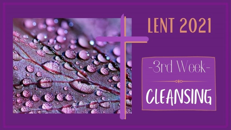 3rd Week of Lent - Cleansing