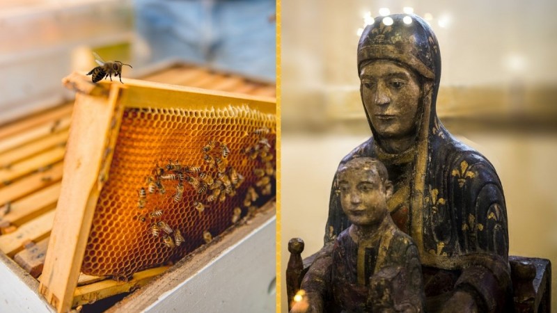 Blog: The Secret Life of Bees and Images of Mary