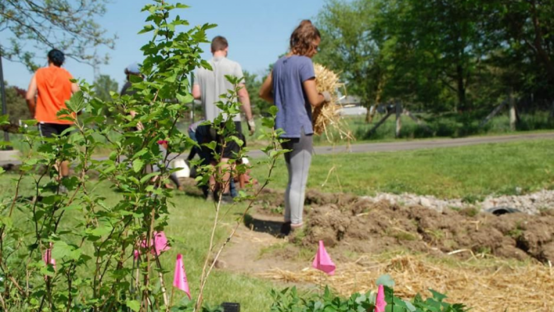 Students from Siena Heights and Barry Universities plant a rain garden in the Adrian Dominicans' permaculture gardens as part of the Environmental Leadership Education program